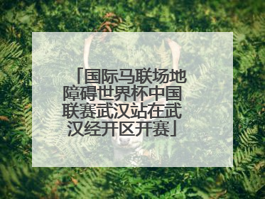 国际马联场地障碍世界杯中国联赛武汉站在武汉经开区开赛